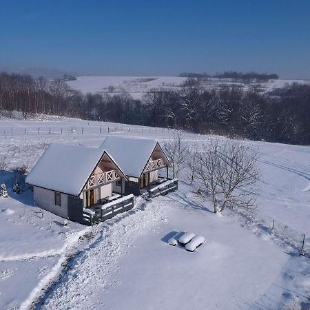 Apartamenty Żywiec エクステリア 写真