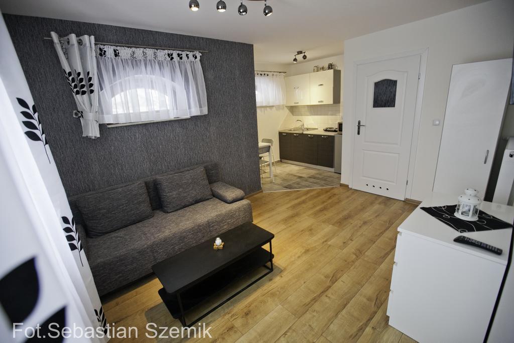 Apartamenty Żywiec エクステリア 写真