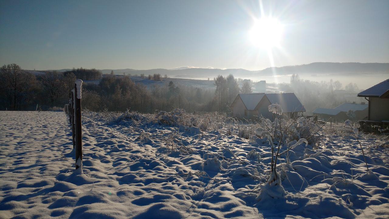 Apartamenty Żywiec エクステリア 写真